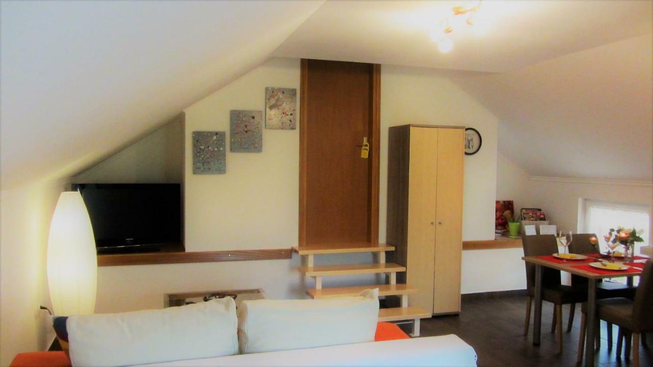 Apartment Marin Ogulin Bagian luar foto